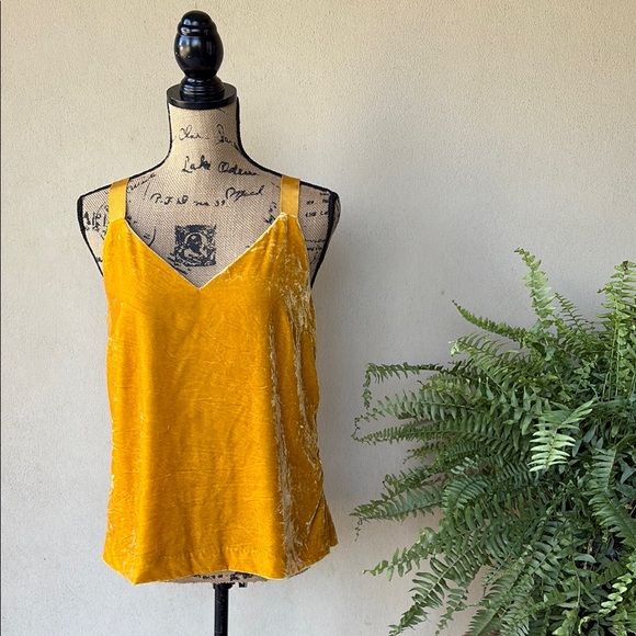 J. Crew velvet top - Picture 2 of 12